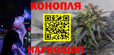 СК Донецк