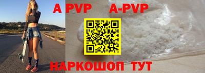 стафф Донской