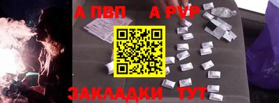 стафф Донской